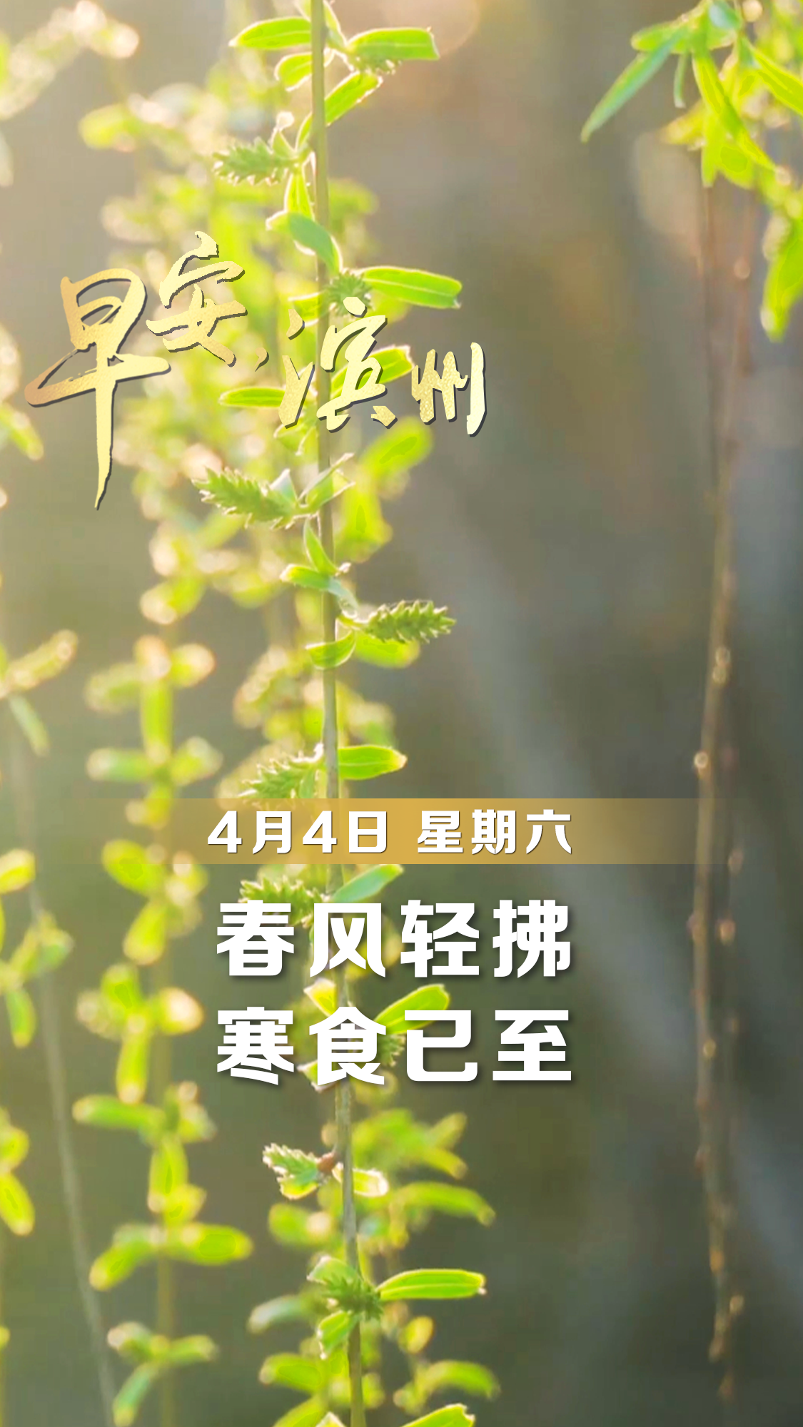 【早安】4月4日，周六，早安。春风轻拂，寒食已至。在这清和的春日里，怀一份敬意，藏一份思念，愿人间烟火有序，四季皆有暖意